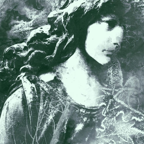 Shores Of Null : Black Drapes for Tomorrow (Live Unplugged)